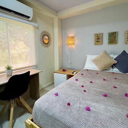 Bed and Breakfast Colorful Garden House Providencia  Экстерьер фото