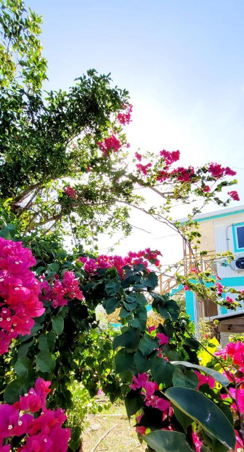 Bed and Breakfast Colorful Garden House Providencia  Экстерьер фото